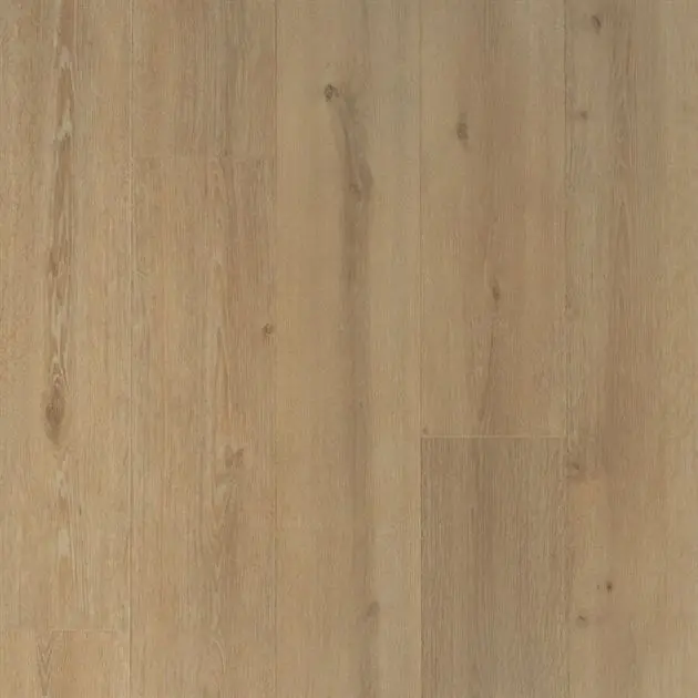 Standaard plank - douwes-dekker-trots-4682-solide-plank-laurier